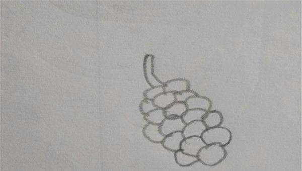 葡萄叶怎么画简笔画 葡萄的简笔画画法？
