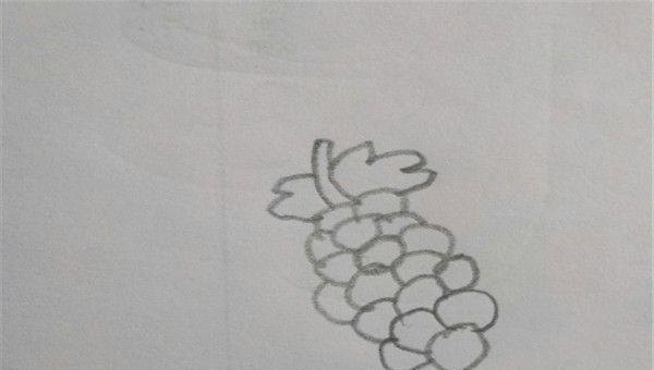 葡萄叶怎么画简笔画 葡萄的简笔画画法？