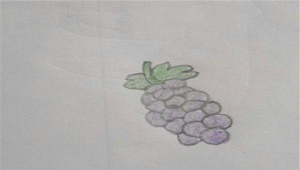 葡萄叶怎么画简笔画 葡萄的简笔画画法？