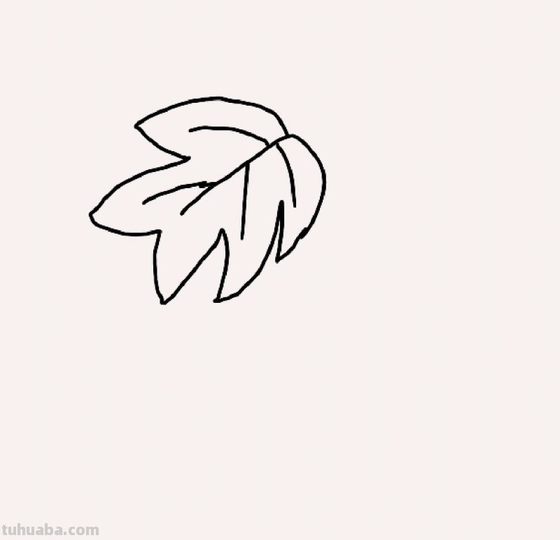 葡萄叶怎么画简笔画 葡萄的简笔画画法？