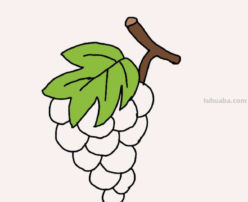 葡萄叶怎么画简笔画 葡萄的简笔画画法？