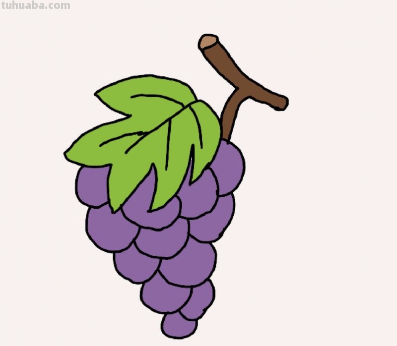 葡萄叶怎么画简笔画 葡萄的简笔画画法？