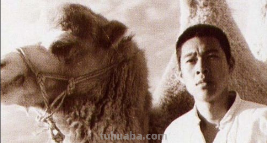 骆驼祥子读书卡封面怎么做 骆驼祥子明信片怎么做？