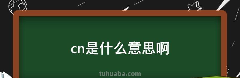 CN cn是什么意思啊