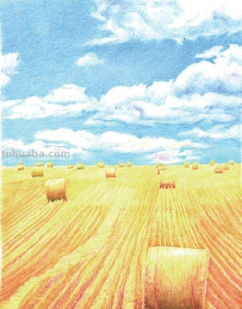 夏天农村田埂彩铅画怎么画 初学者彩铅画步骤?