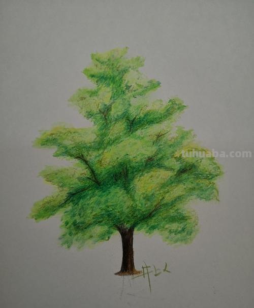 用彩铅画的小树怎么画 很茂密的树怎么用彩铅画?