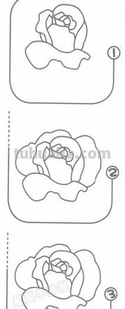 蔷薇怎么画简笔画步骤 小学生简笔画怎么画？