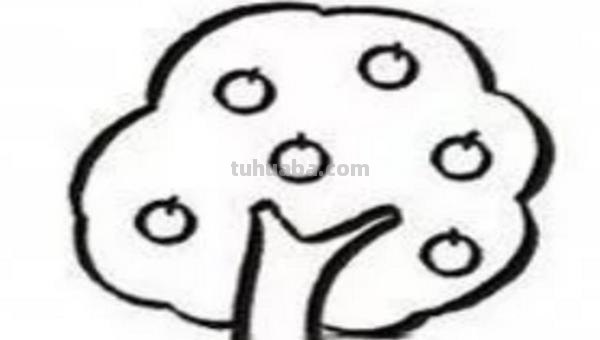 蔷薇怎么画简笔画步骤 小学生简笔画怎么画？