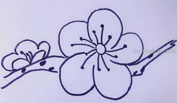 梅花的简笔画怎么画 【梅花简笔画怎么画】梅花的画法?