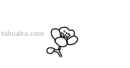 梅花的简笔画怎么画 【梅花简笔画怎么画】梅花的画法？