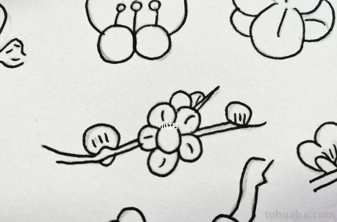 梅花的简笔画怎么画 【梅花简笔画怎么画】梅花的画法?