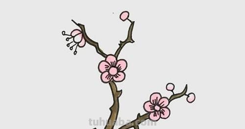 梅花的简笔画怎么画 【梅花简笔画怎么画】梅花的画法?