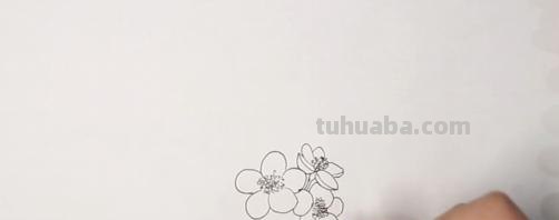 梅花的简笔画怎么画 【梅花简笔画怎么画】梅花的画法？