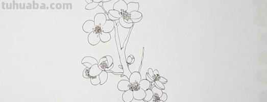 梅花的简笔画怎么画 【梅花简笔画怎么画】梅花的画法？