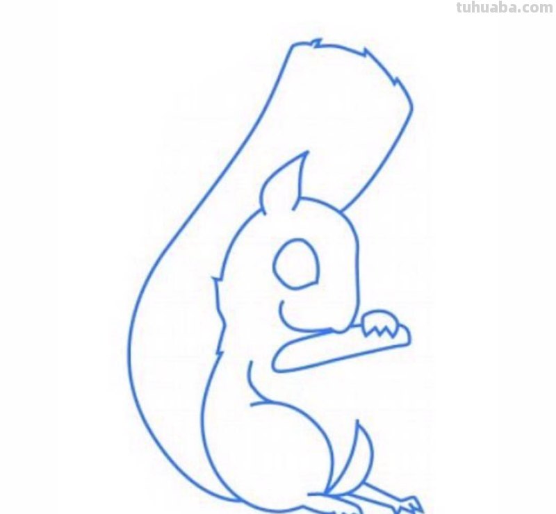 小松鼠怎么画简笔画 如何画一只简单的松鼠？