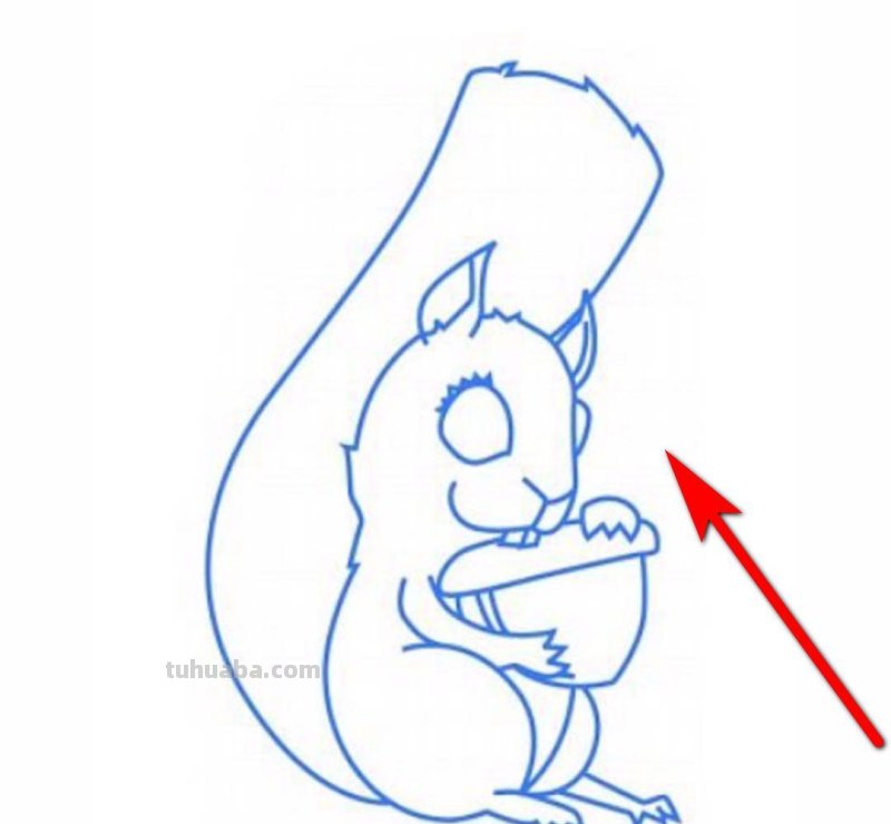 小松鼠怎么画简笔画 如何画一只简单的松鼠？