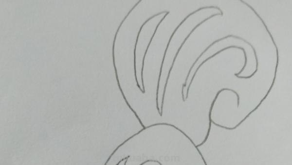 小松鼠怎么画简笔画 如何画一只简单的松鼠？