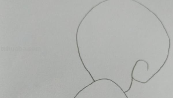 小松鼠怎么画简笔画 如何画一只简单的松鼠？