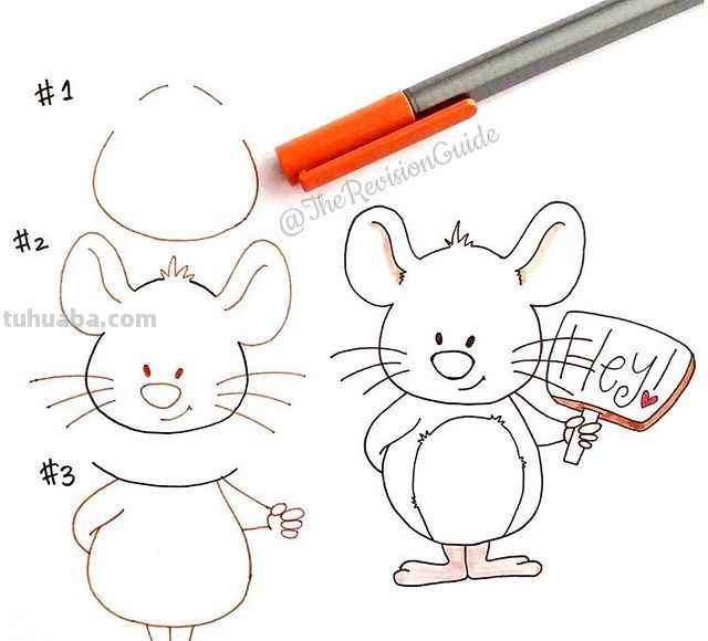 一组动物简笔画教程~