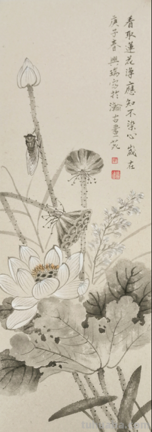 清逸谈墨悟自然-马兴瑞花卉草虫作品赏析