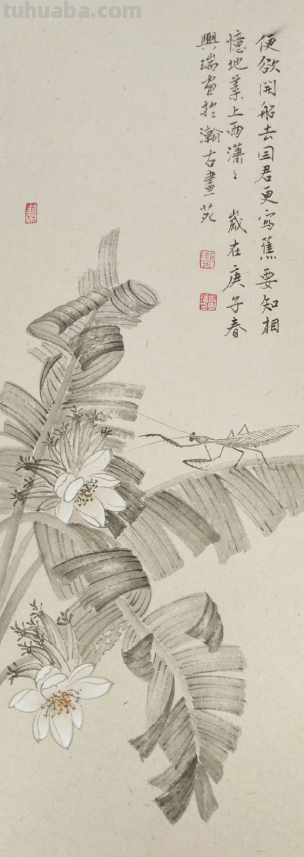 清逸谈墨悟自然-马兴瑞花卉草虫作品赏析