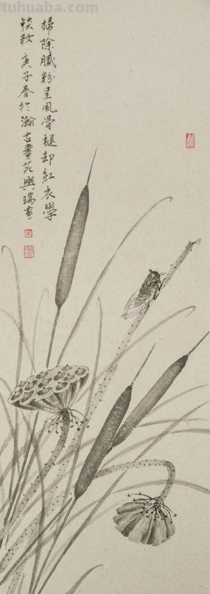 清逸谈墨悟自然-马兴瑞花卉草虫作品赏析