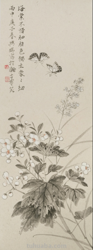 清逸谈墨悟自然-马兴瑞花卉草虫作品赏析