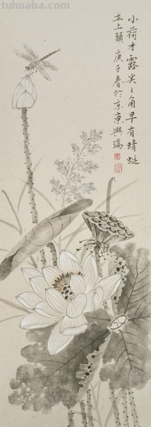 清逸谈墨悟自然-马兴瑞花卉草虫作品赏析