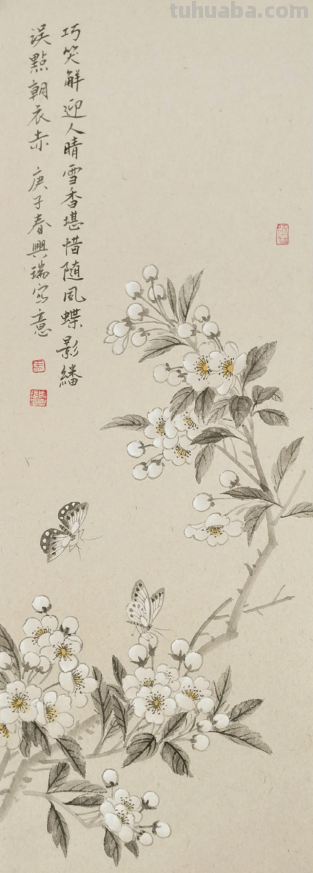 清逸谈墨悟自然-马兴瑞花卉草虫作品赏析