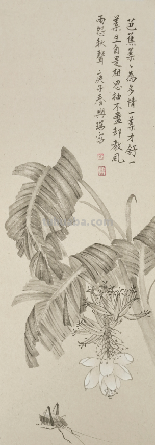 清逸谈墨悟自然-马兴瑞花卉草虫作品赏析
