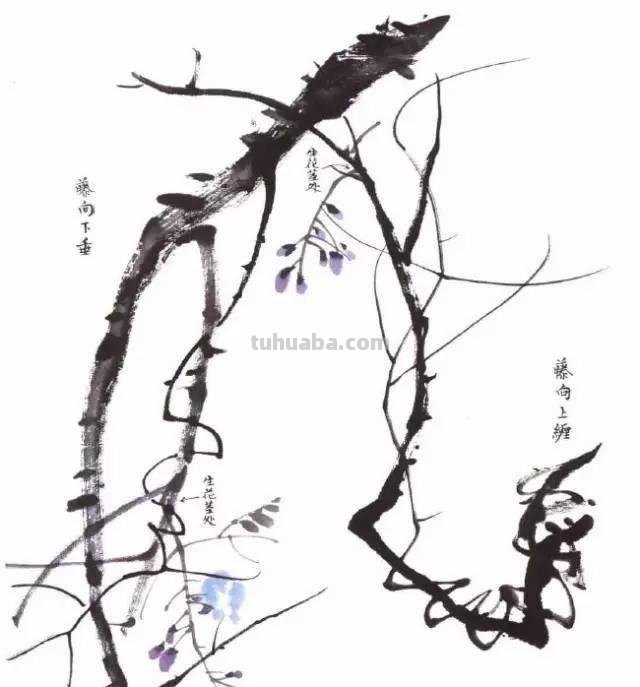 10种写意画画法合集（附教程100副，学习的好素材~）2