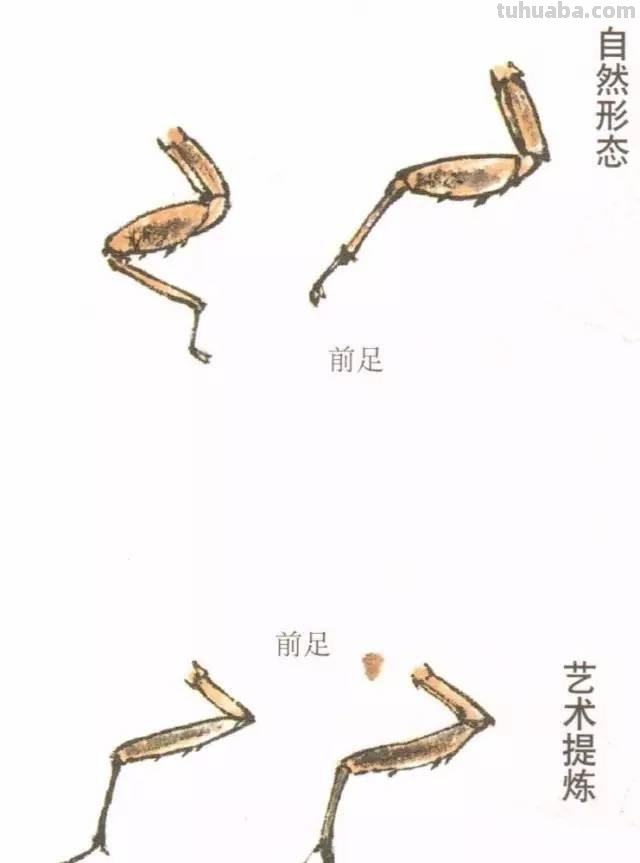 10种写意画画法合集（附教程100副，学习的好素材~）2