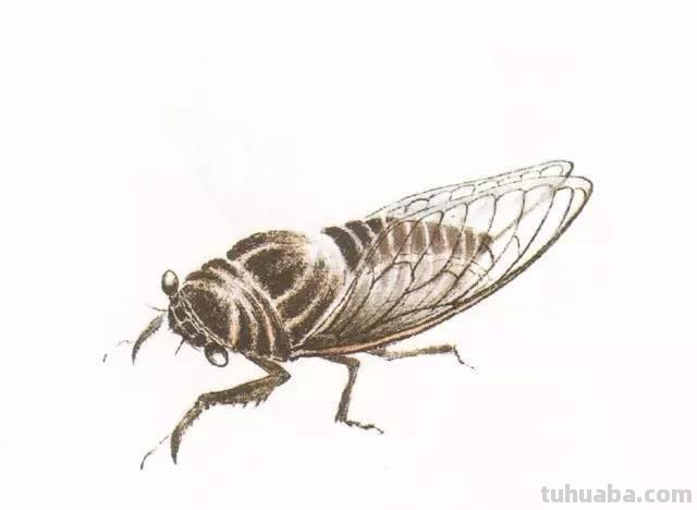 10种写意画画法合集（附教程100副，学习的好素材~）2