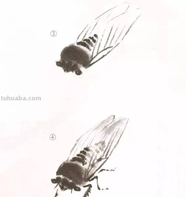 10种写意画画法合集（附教程100副，学习的好素材~）2