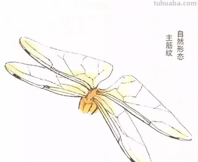 10种写意画画法合集（附教程100副，学习的好素材~）2