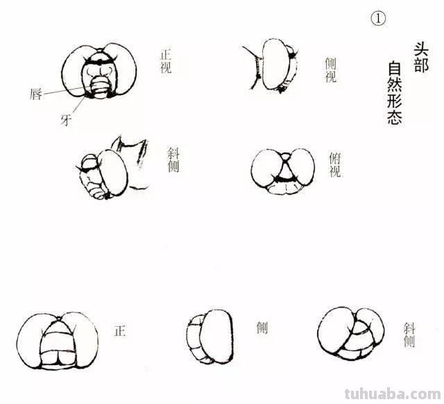 10种写意画画法合集（附教程100副，学习的好素材~）2