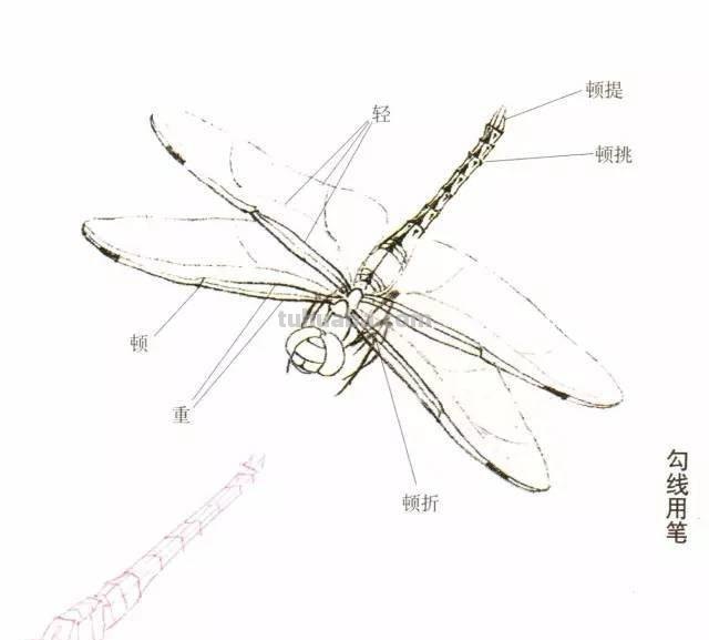 10种写意画画法合集（附教程100副，学习的好素材~）2