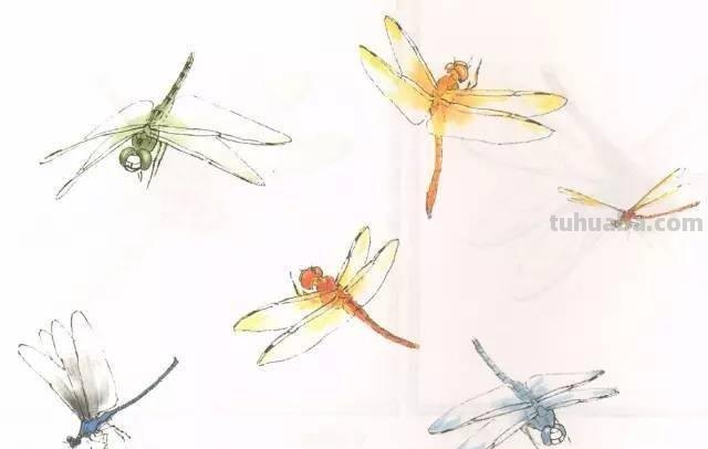10种写意画画法合集（附教程100副，学习的好素材~）2