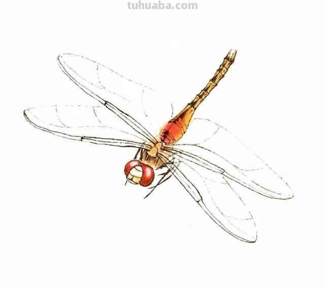 10种写意画画法合集（附教程100副，学习的好素材~）2