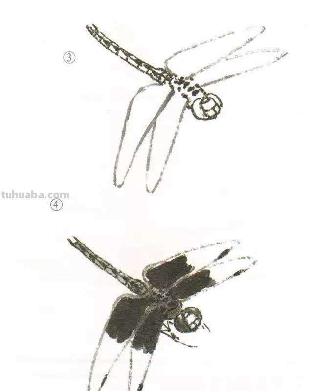 10种写意画画法合集（附教程100副，学习的好素材~）2