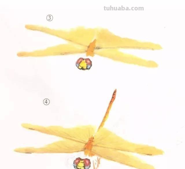 10种写意画画法合集（附教程100副，学习的好素材~）2