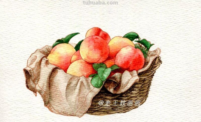 水彩教程，唯美淡彩画，看第一眼就爱上了