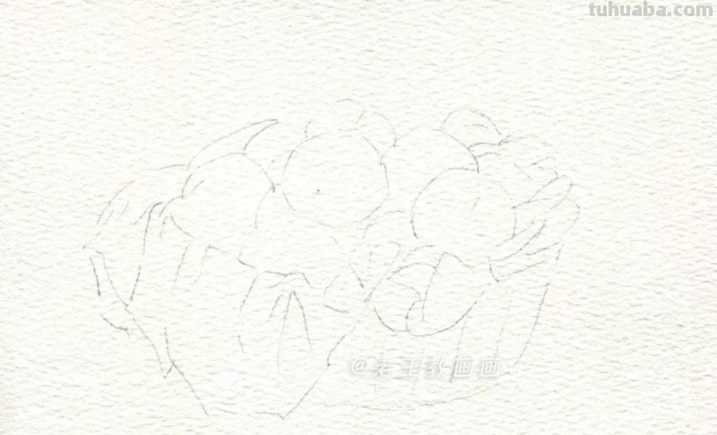 水彩教程，唯美淡彩画，看第一眼就爱上了