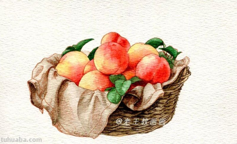水彩教程，唯美淡彩画，看第一眼就爱上了
