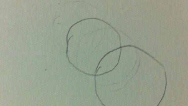 怎么用彩铅画鸟类的画 三年级画火焰鸟简单又漂亮？