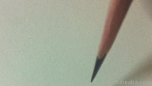 怎么用彩铅画鸟类的画 三年级画火焰鸟简单又漂亮？