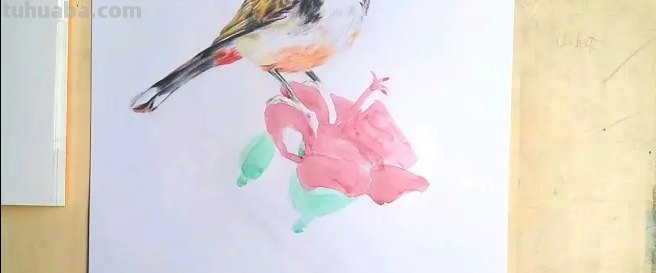 怎么用彩铅画鸟类的画 三年级画火焰鸟简单又漂亮？