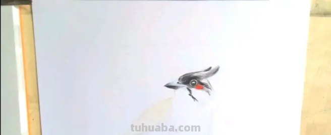 怎么用彩铅画鸟类的画 三年级画火焰鸟简单又漂亮？
