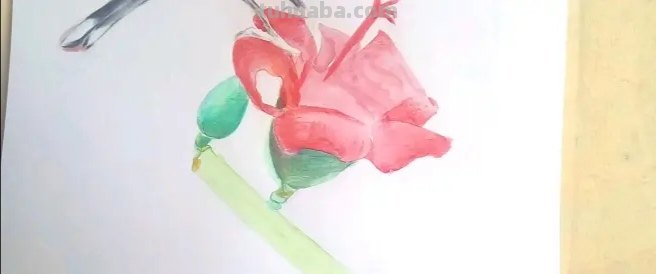 怎么用彩铅画鸟类的画 三年级画火焰鸟简单又漂亮？