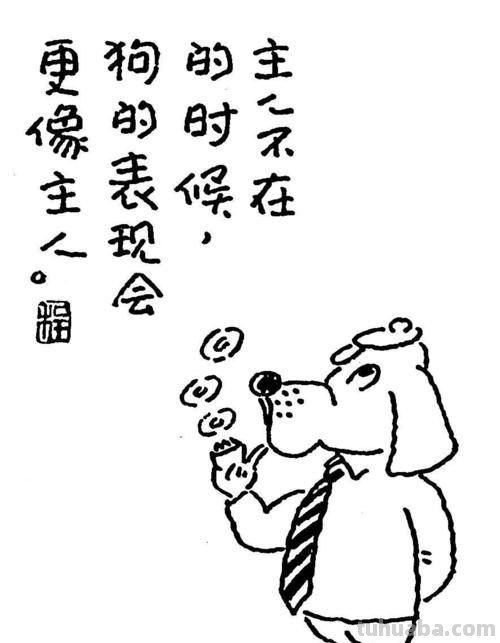 漫画生活Storia 漫画生活就是生动的活着作文